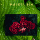 EL BLOG DE COMIDA DEL PATAS